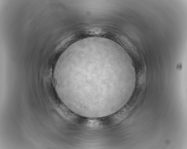 X0000093610376200711051224