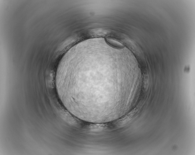 X0000093610378200711051224