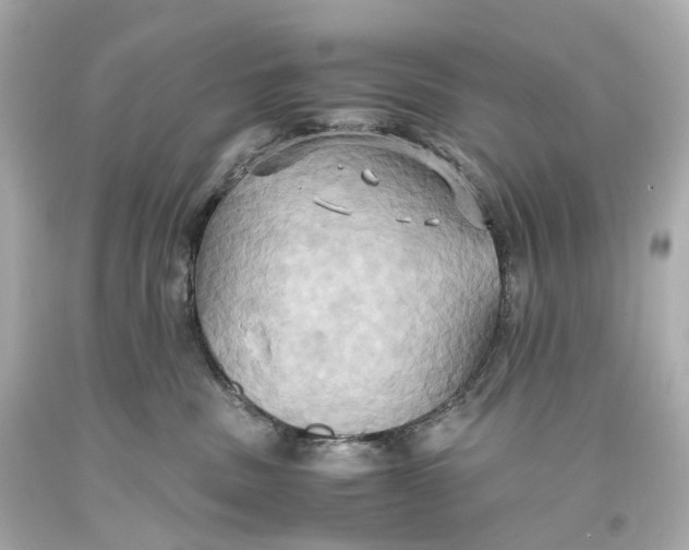 X0000093610379200711051224