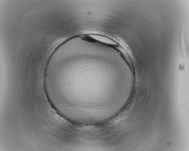 X0000093610385200711051223