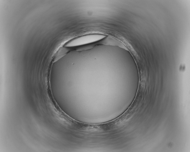 X0000093610386200711051223