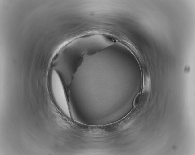 X0000093610387200711051223