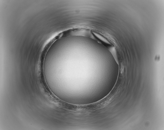 X0000093610388200711051223