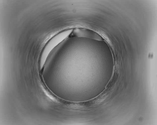 X0000093610389200711051223