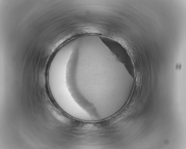 X0000093610390200711051223