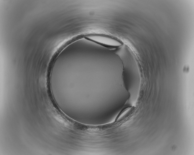 X0000093610391200711051223