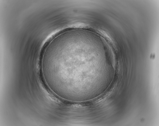 X0000093610392200711051223