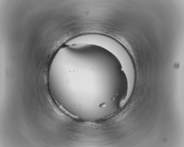X0000093610393200711051223