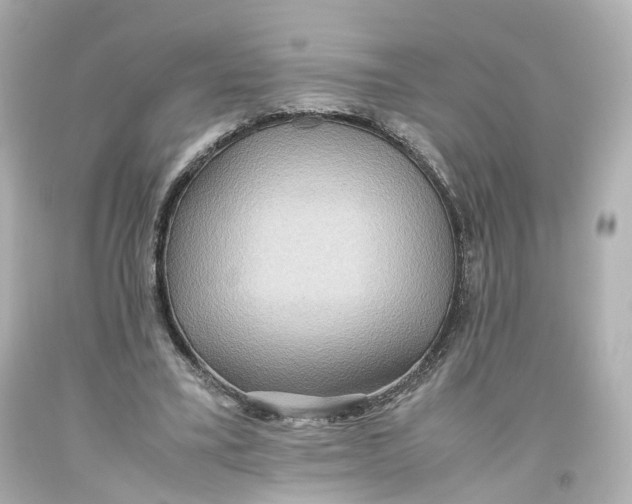 X0000093610395200711051223