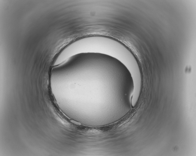 X0000093610397200711051223