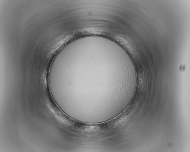 X0000093610398200711051223
