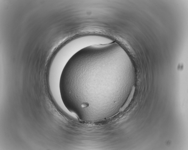 X0000093610399200711051223