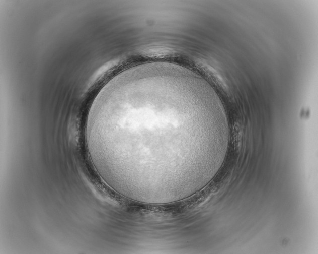 X0000093610400200711051223