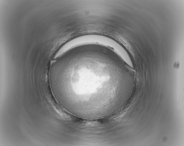 X0000093610401200711051223