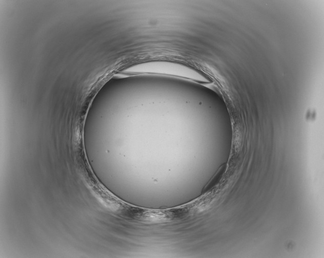 X0000093610405200711051223