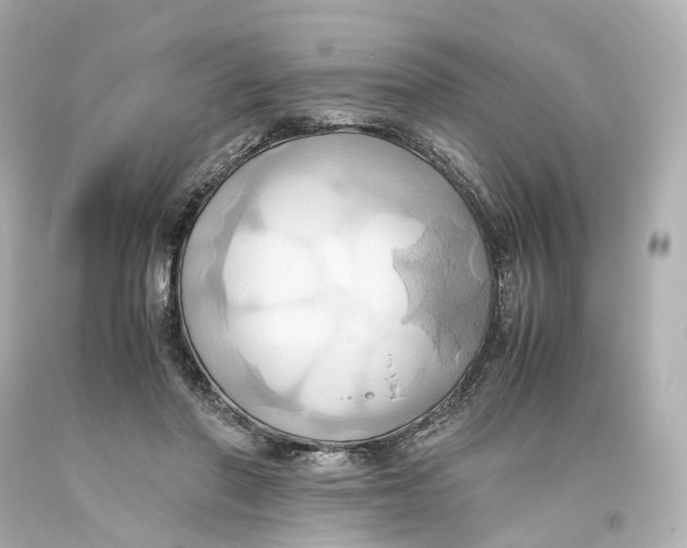 X0000093610406200711051223