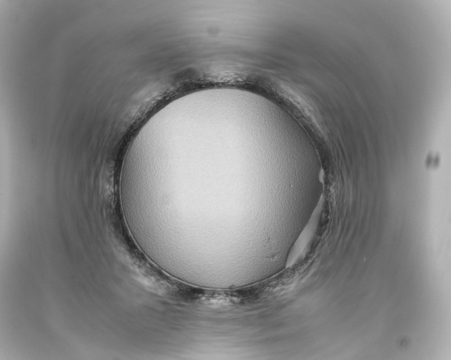X0000093610407200711051223