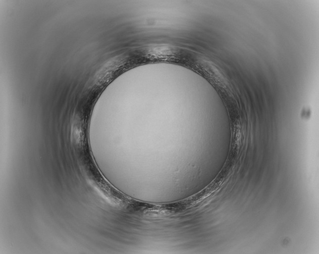 X0000093610408200711051223