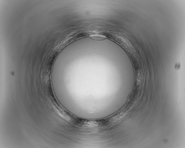 X0000093610409200711051223