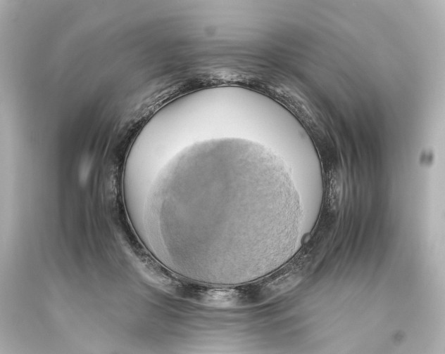 X0000093610410200711051223