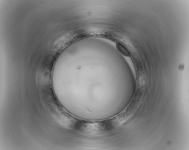 X0000093610411200711051223