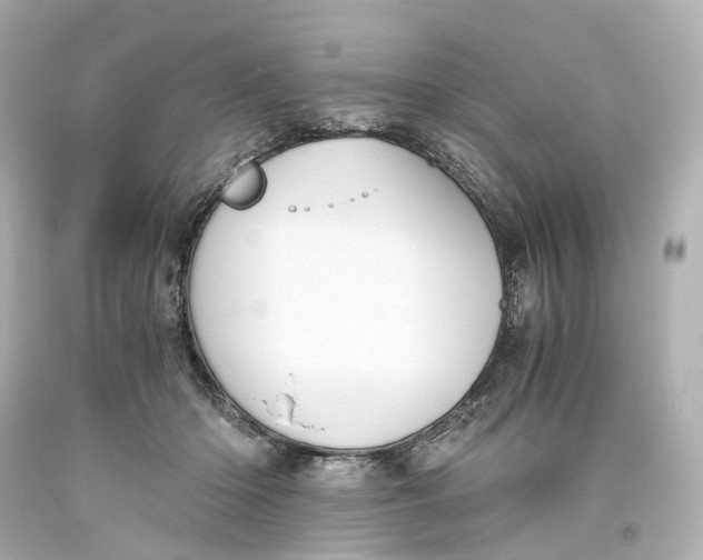 X0000093610414200711051223