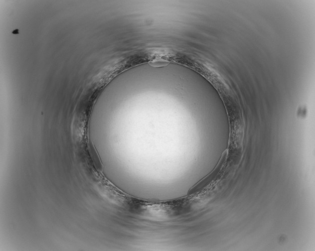 X0000093610417200711051223