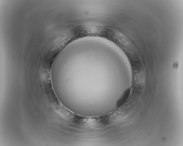 X0000093610419200711051223