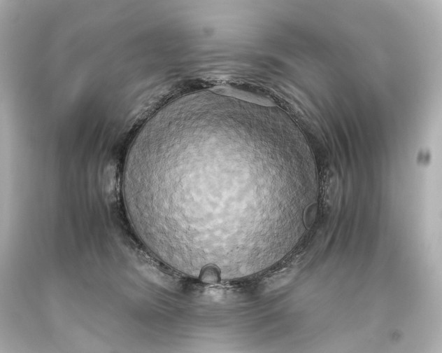 X0000093610420200711051223