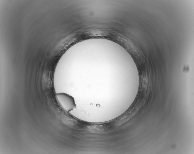 X0000093610422200711051223