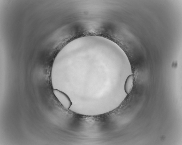 X0000093610423200711051223