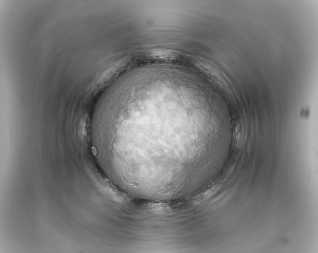X0000093610424200711051223
