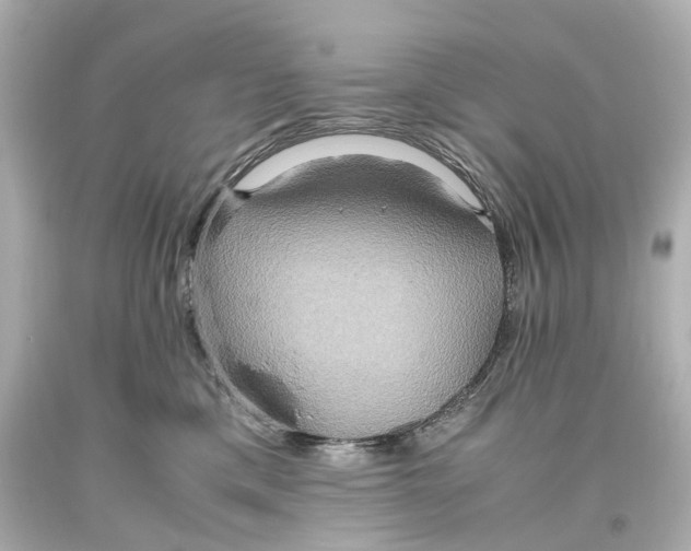 X0000093610425200711051223