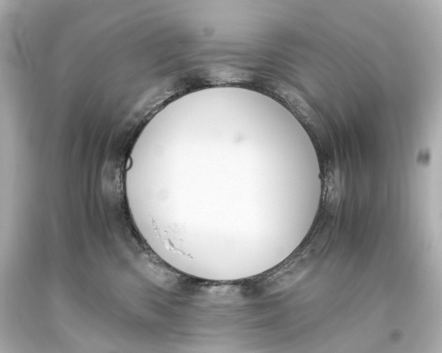 X0000093610426200711051223