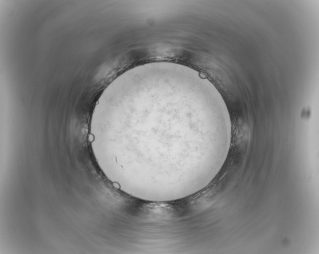 X0000093610427200711051223