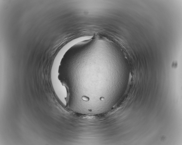 X0000093610428200711051223