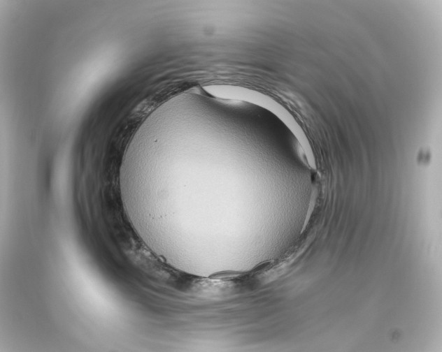 X0000093610429200711051223