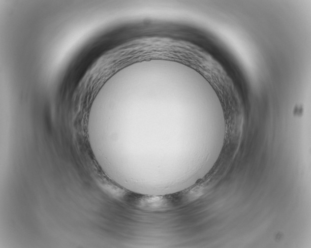 X0000093610431200711051223