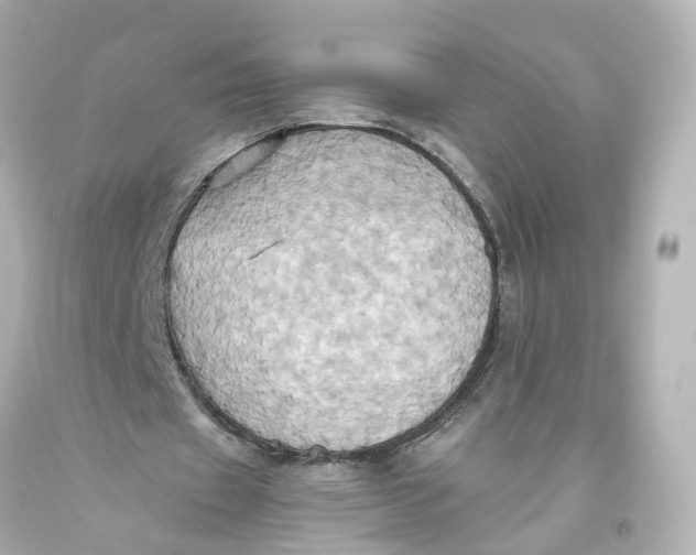 X0000093610433200711051222