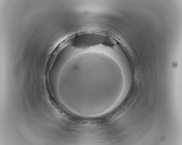 X0000093610434200711051222
