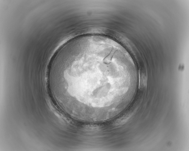 X0000093610435200711051222
