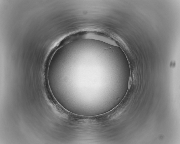 X0000093610436200711051222
