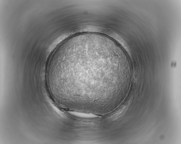 X0000093610437200711051222