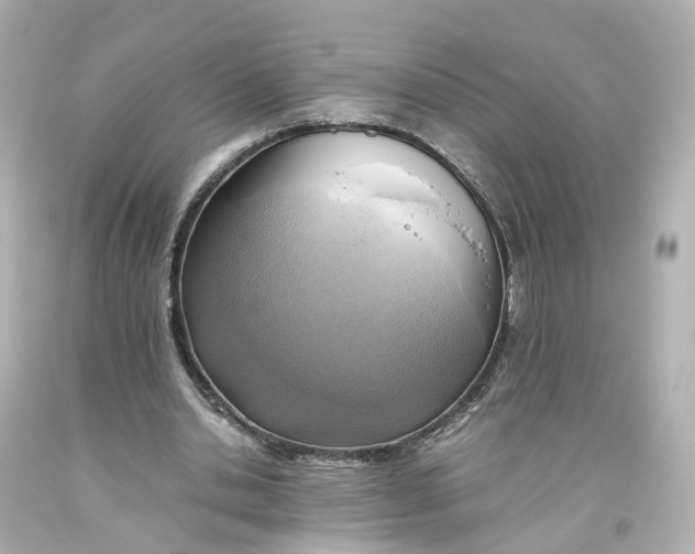 X0000093610438200711051222
