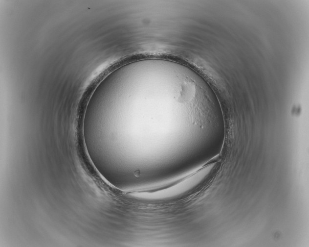 X0000093610440200711051222