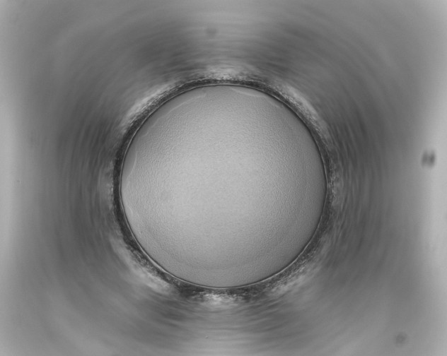 X0000093610442200711051222