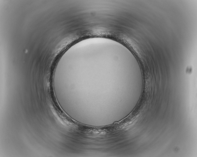 X0000093610443200711051222