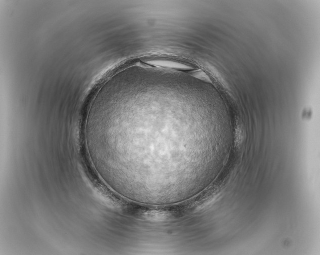 X0000093610444200711051222