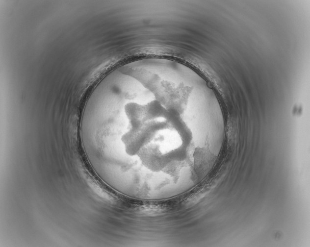 X0000093610445200711051222