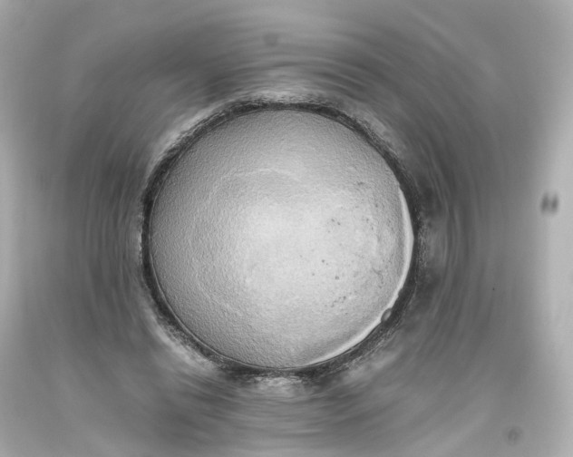 X0000093610446200711051222